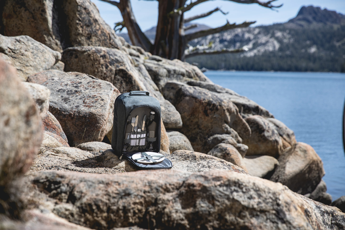Colorado Picnic Cooler Backpack