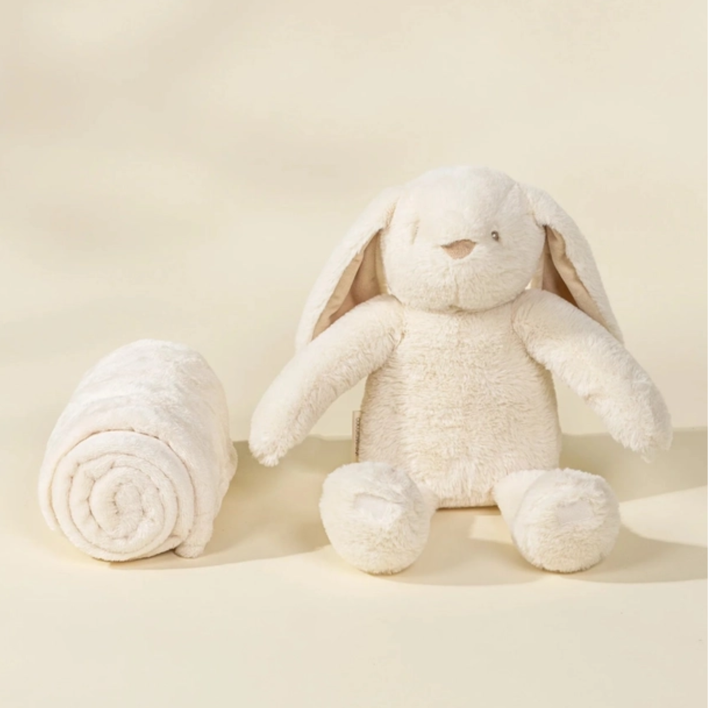 Welcome Baby Gift Box with Plush Bunny