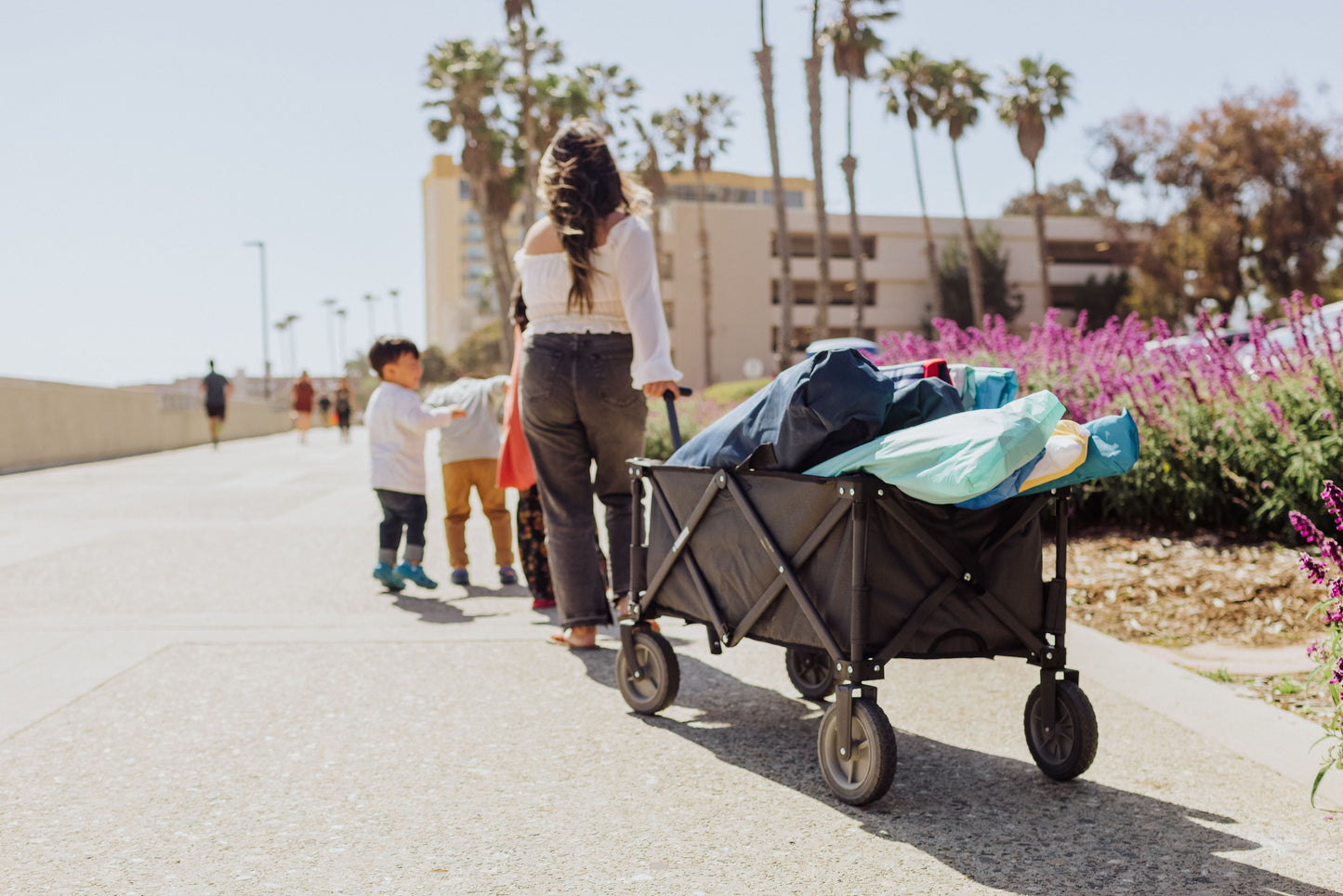 Adventure Wagon Portable Utility Wagon